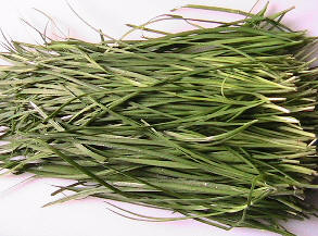 Retail herbs, fresh cut garlic chives. Ӣʸ²0210